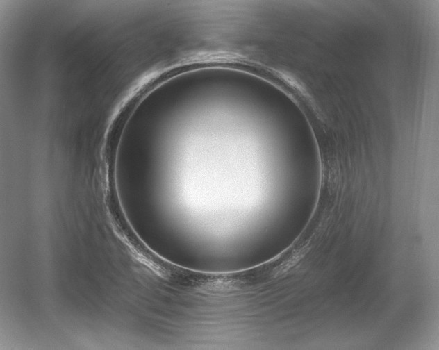 X0000059091414200510101132