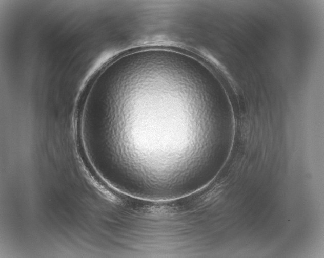 X0000059091416200510101132