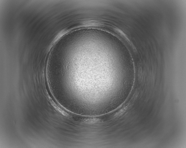 X0000059091417200510101132