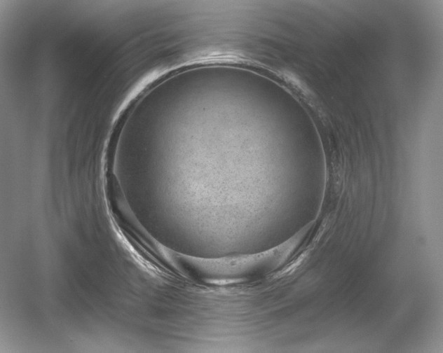 X0000059091422200510101133