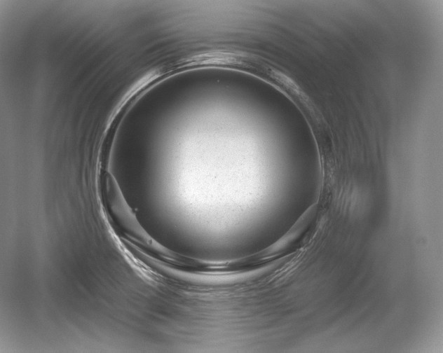 X0000059091426200510101133