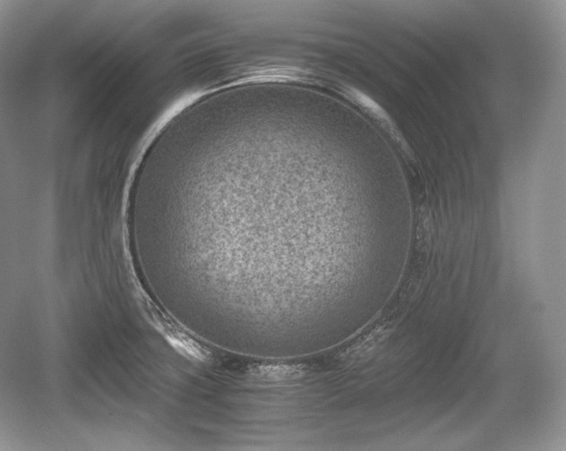 X0000059091427200510101133