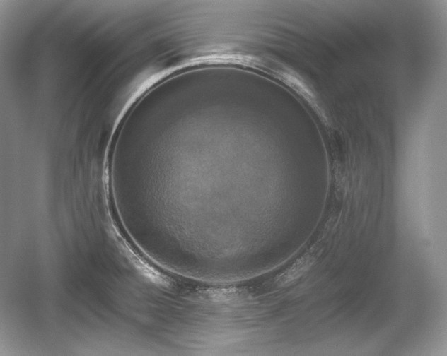 X0000059091428200510101133