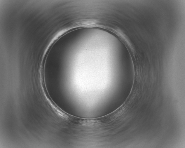 X0000059091432200510101133
