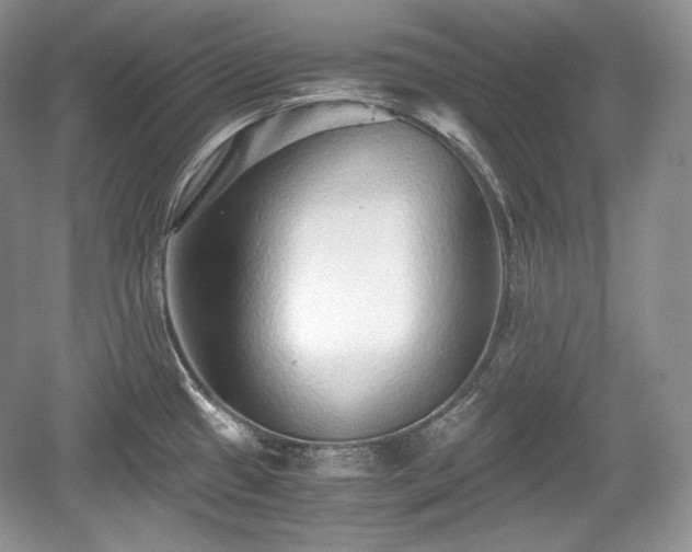 X0000059091433200510101133