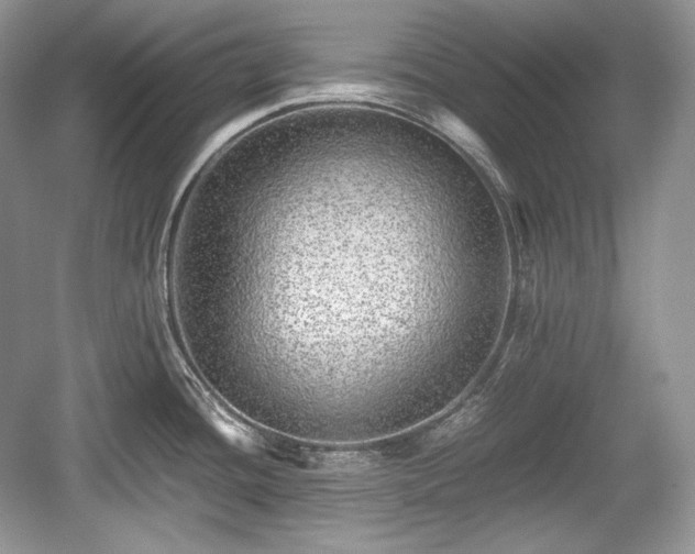 X0000059091436200510101133