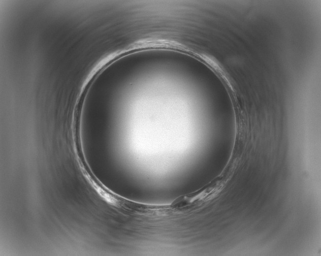 X0000059091438200510101133