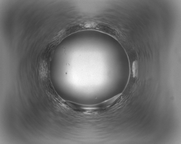 X0000059091443200510101132