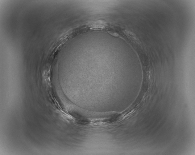 X0000059091445200510101132