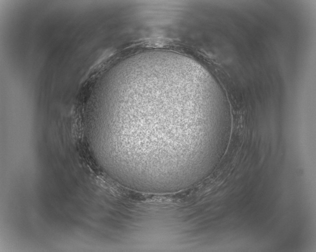 X0000059091446200510101132