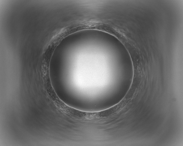 X0000059091447200510101132