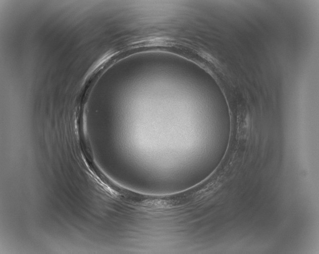 X0000059091450200510101131