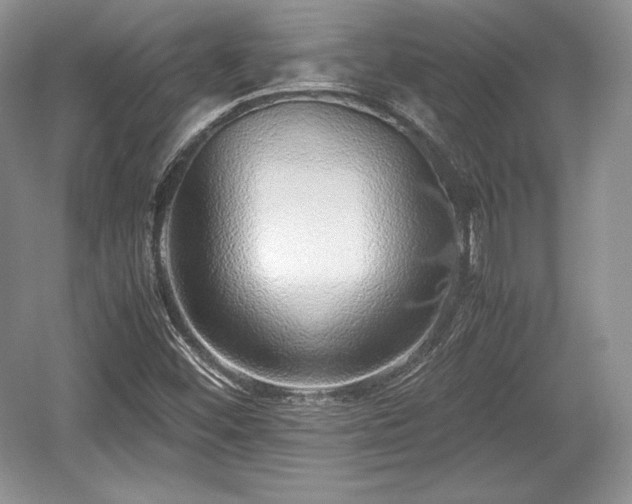 X0000059091452200510101131