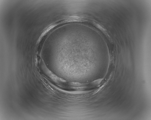 X0000059091453200510101131