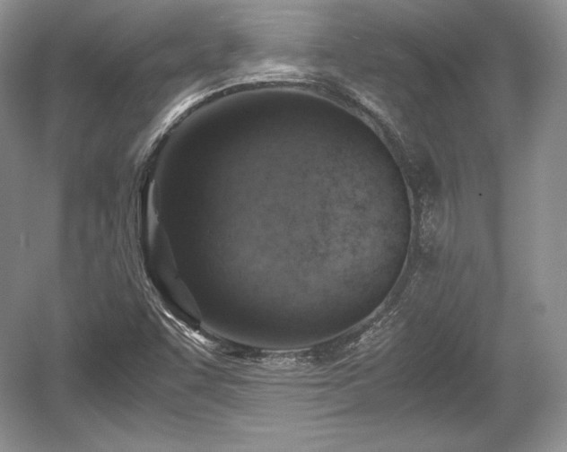 X0000059091455200510101131
