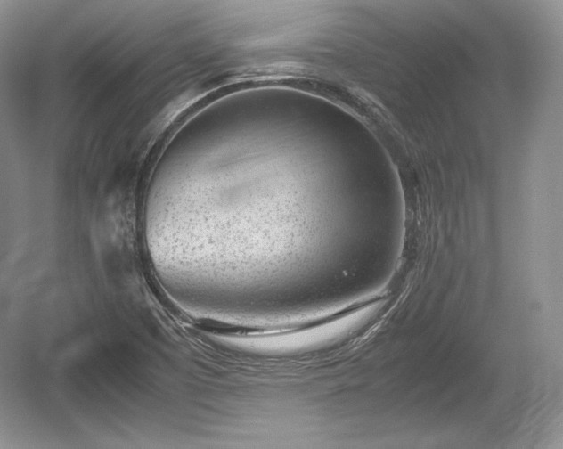 X0000059091457200510101131