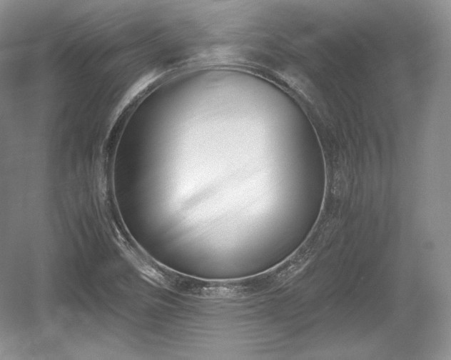 X0000059091458200510101131