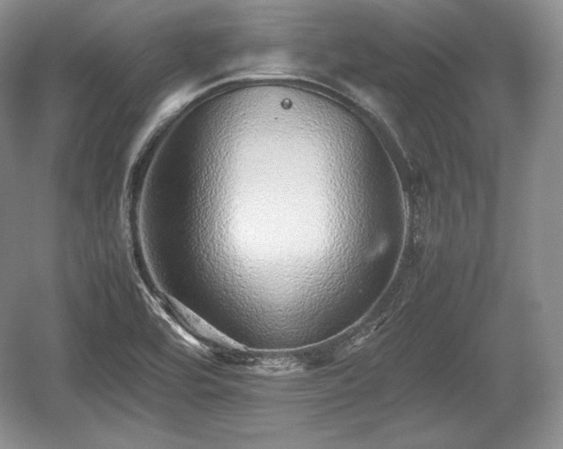 X0000059091464200510101131