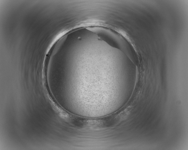 X0000059091469200510101131