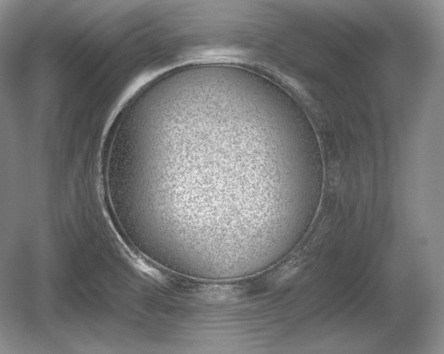 X0000059091470200510101131
