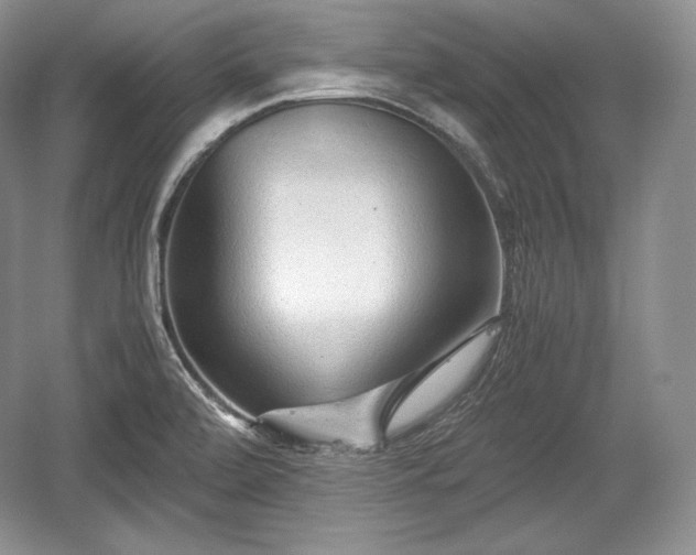 X0000059091472200510101131