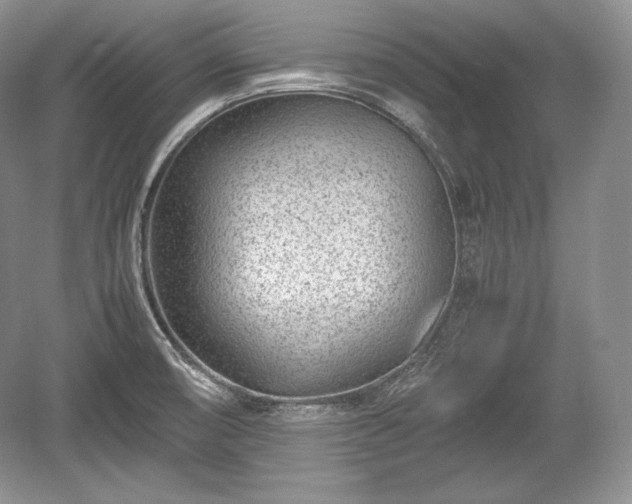 X0000059091474200510101131