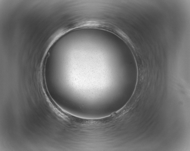 X0000059091475200510101131