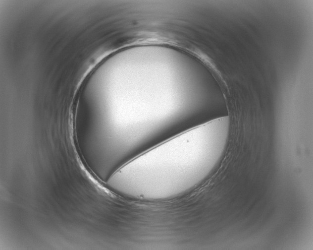 X0000059091476200510101131