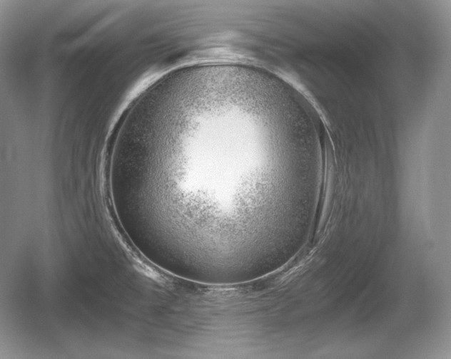 X0000059091477200510101131
