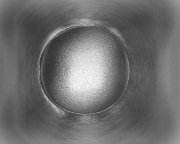 X0000059091479200510101131