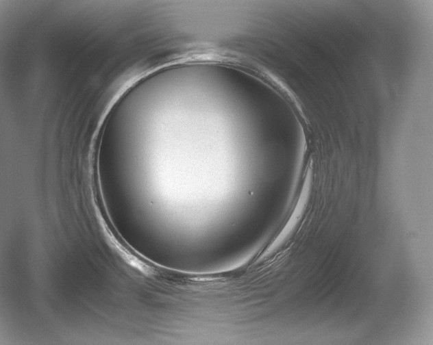 X0000059091483200510101131