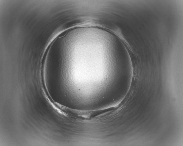 X0000059091484200510101131