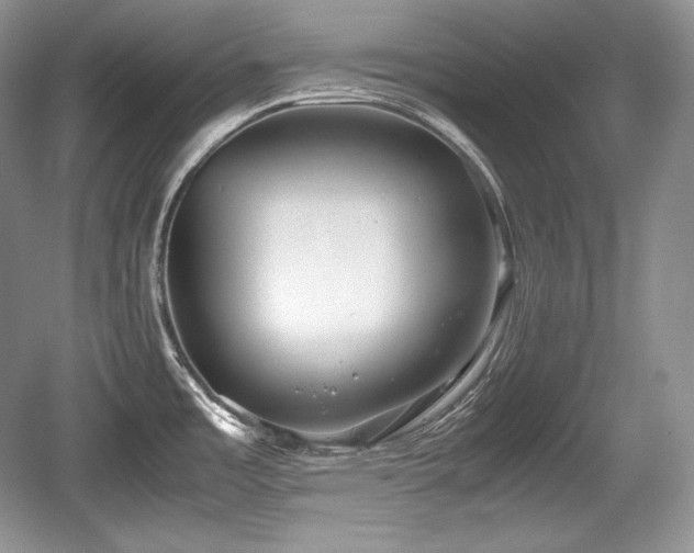 X0000059091485200510101131