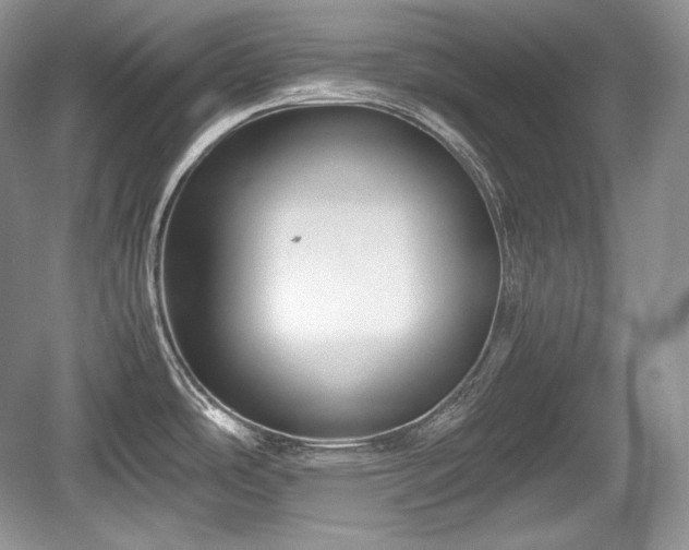 X0000059091486200510101131