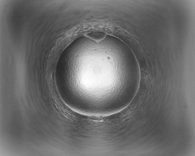 X0000059091489200510101130