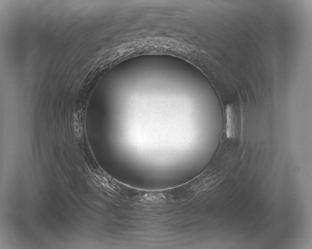 X0000059091491200510101130
