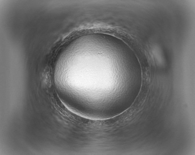 X0000059091493200510101130