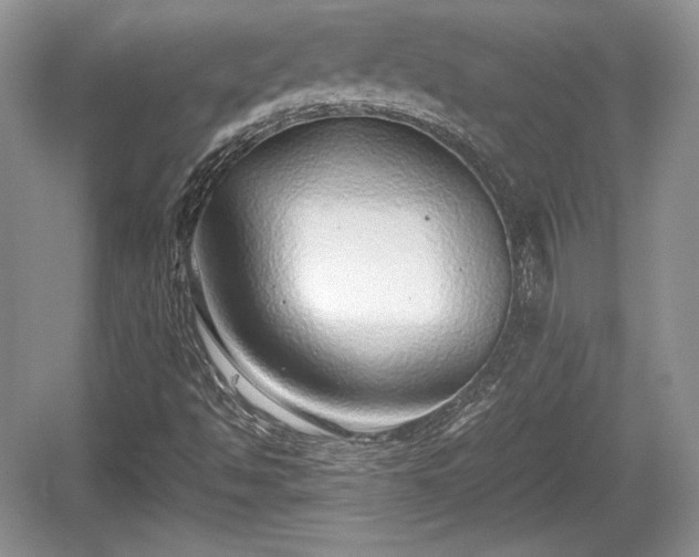 X0000059091494200510101130