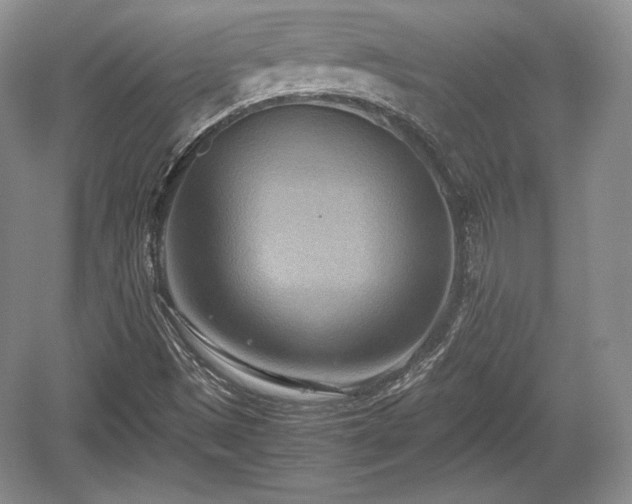 X0000059091497200510101130