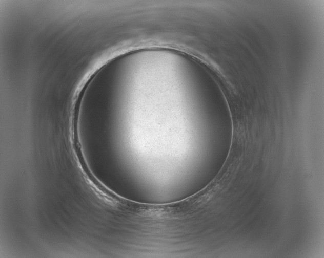 X0000059091512200510101130