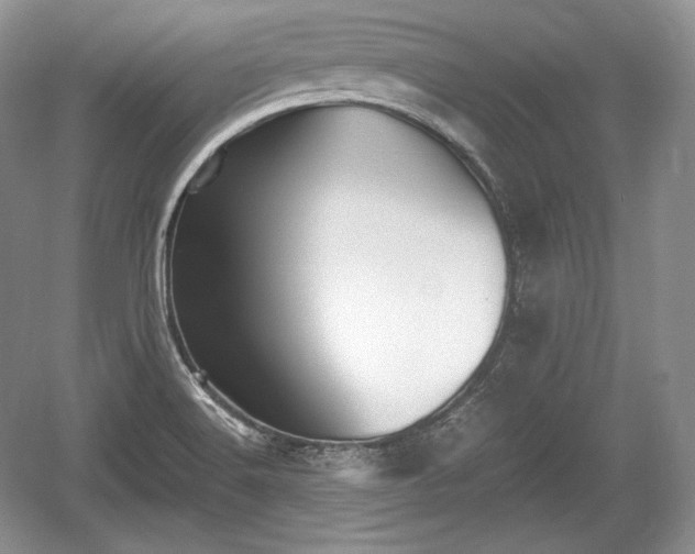 X0000059091516200510101131