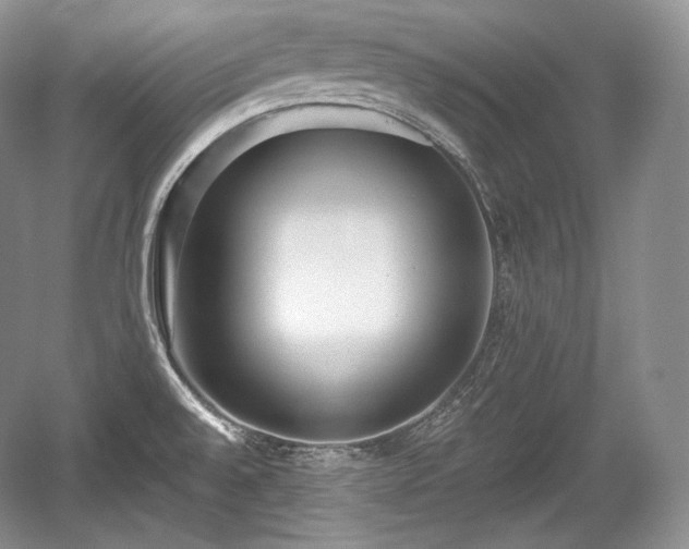 X0000059091528200510101131