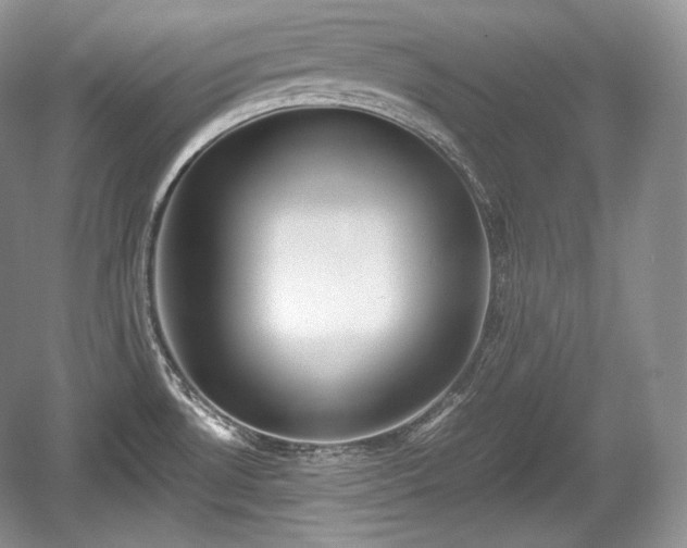 X0000059091530200510101131