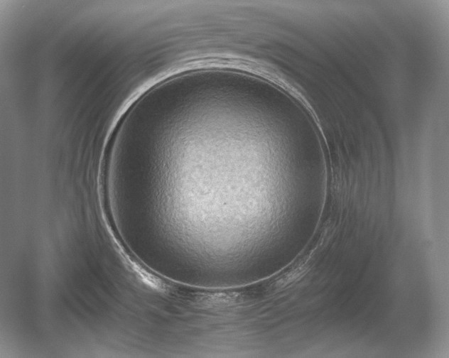 X0000059091533200510101131
