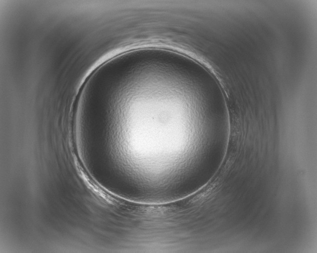 X0000059091534200510101131
