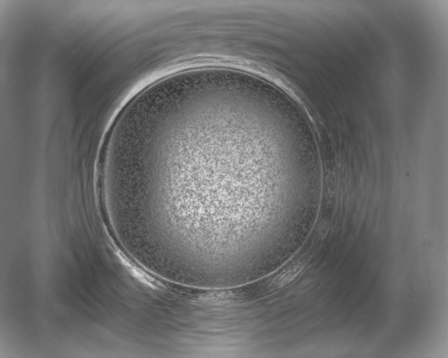X0000059091535200510101131