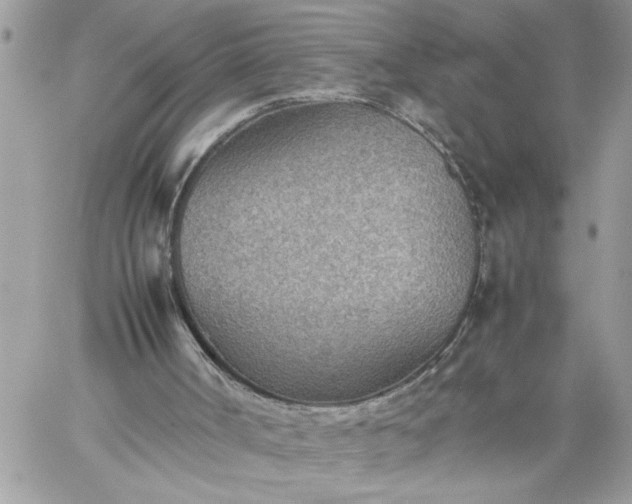 X0000059090002200510172106