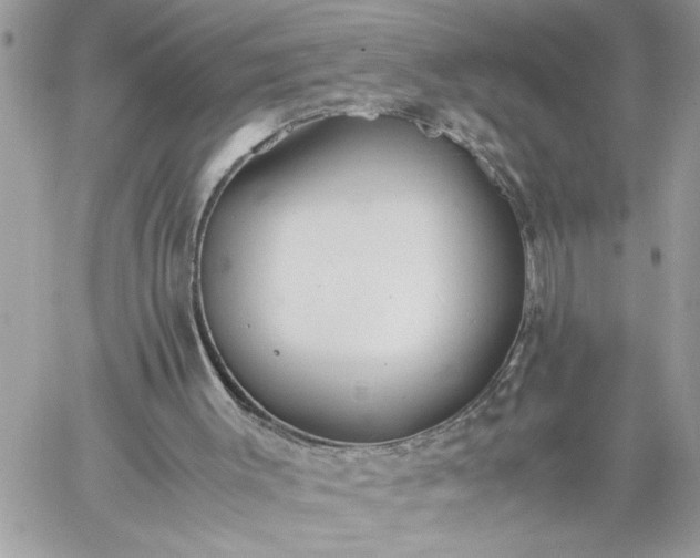 X0000059090003200510172106