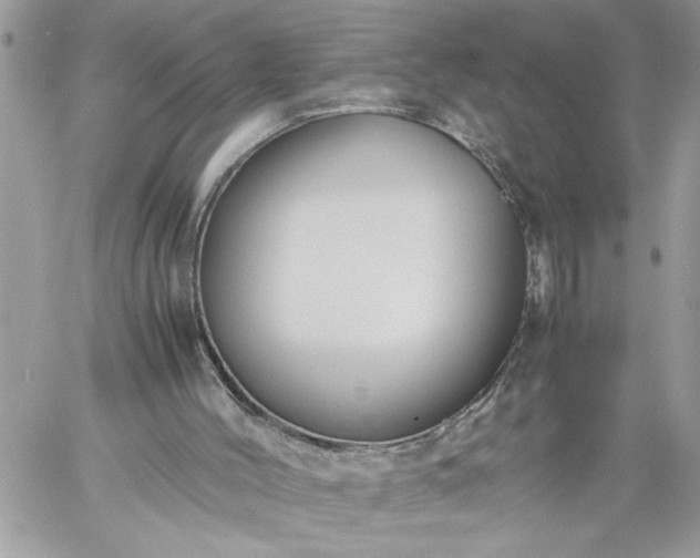 X0000059090004200510172106