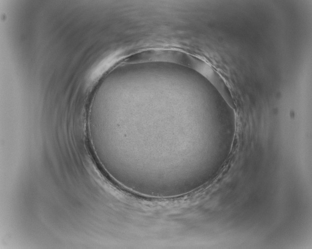 X0000059090005200510172106